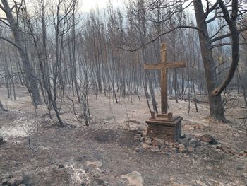 Tragiczny pożar w Chorwacji. Ogień trawi turystyczną wyspę