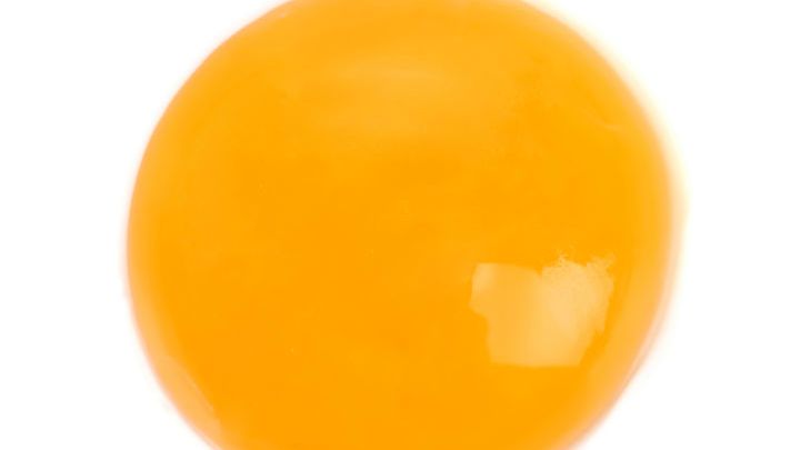 Mrożone żółtko z dodatkiem soli, pasteryzowane