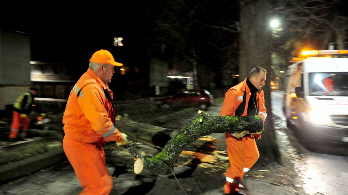 Usuwanie skutków wichury w Szczecinie