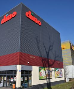 Dino i Biedronka. Oto kto otworzył więcej sklepów w 2025 roku