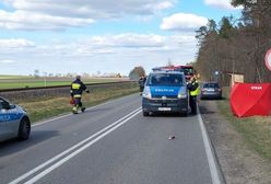 Makabryczny wypadek. Jeden kierowca przepuścił dzieci. Drugi "zmiótł" z pasów 12-latkę