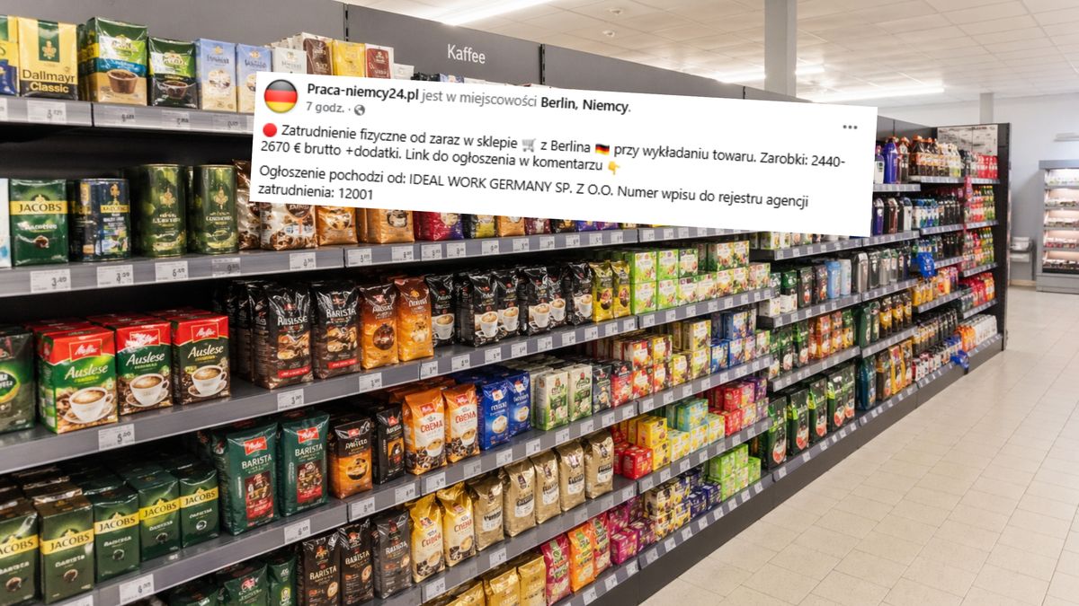 Niemcy podali stawkę. Reakcje z Polski.