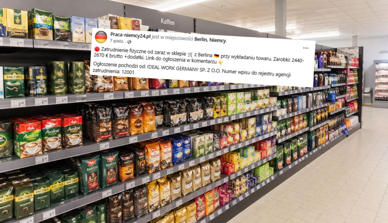 Niemcy podali stawki. Polacy aż się rzucili. "Od zaraz"