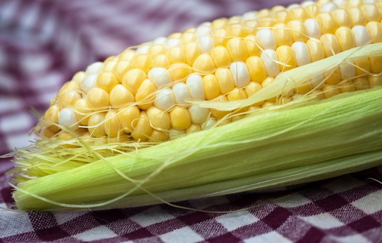 Kukurydza - odmiany, właściwości, przepisy