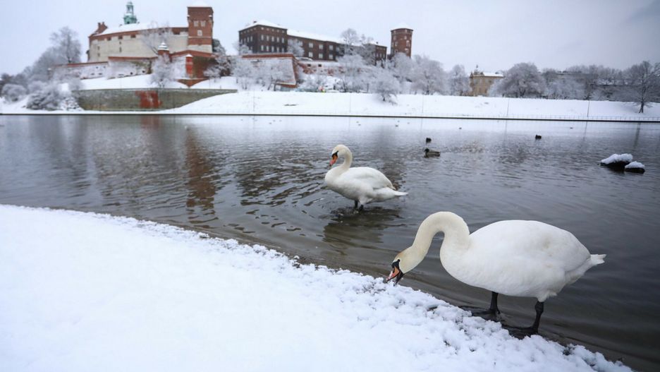 Pogoda. Nadchodzi prawdziwy mróz. Zdjęcia z kraju robią wrażenie