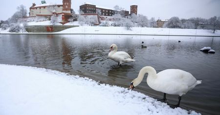 Pogoda. Nadchodzi prawdziwy mróz. Zdjęcia z kraju robią wrażenie