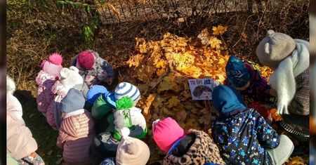 Lubelskie przedszkolaki ponownie w akcji „Tu śpi jeż”. Edukacja ekologiczna na rzecz ochrony jeży