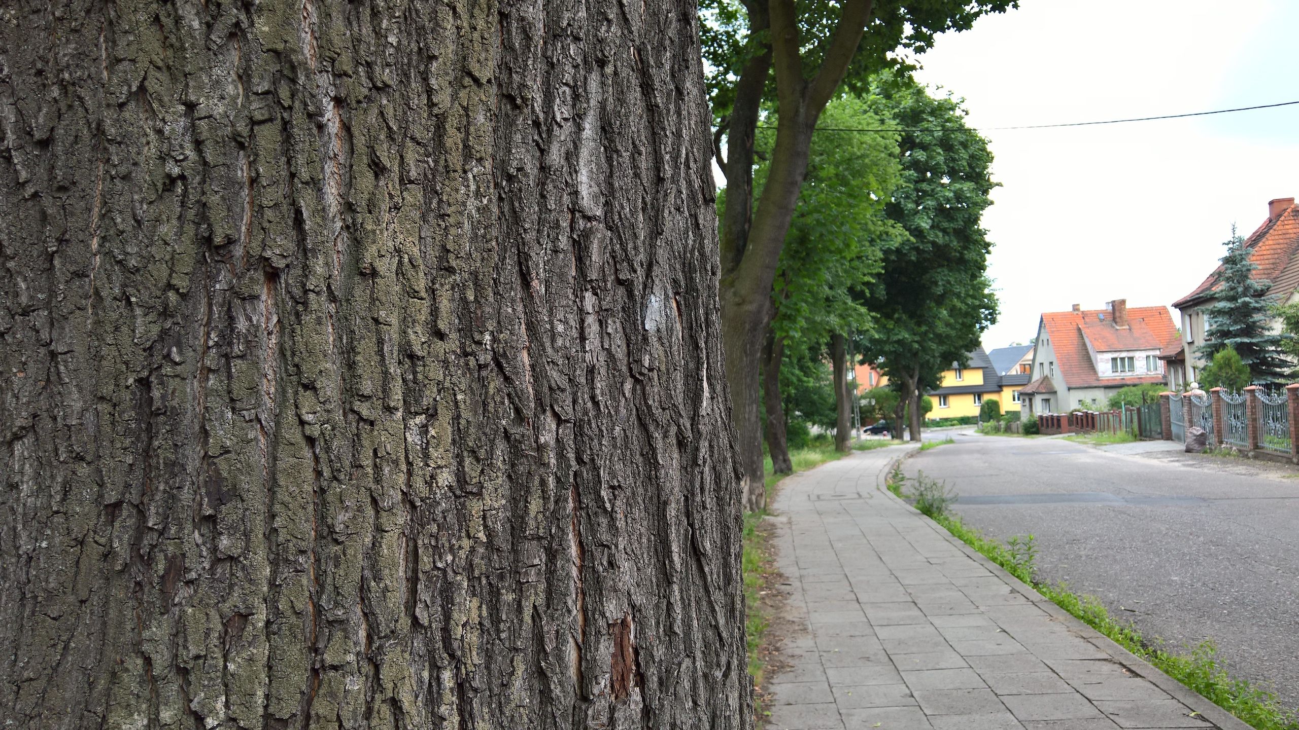 Galaxy S7, LG G5, HTC 10, Huawei P9 i Lumia 950 - fotoporównanie flagowców 26