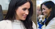 Ciężarna Meghan Markle w sukience z sieciówki przyłapana w londyńskim schronisku! Adoptowała kolejnego psa?