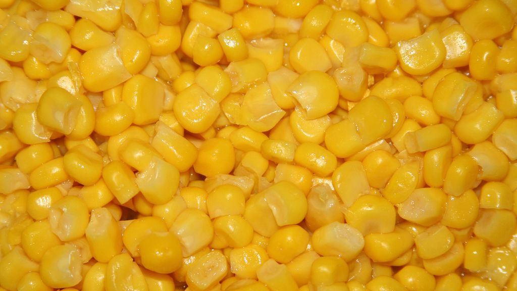Słodka kukurydza w puszce w solance (produkt i płyn)