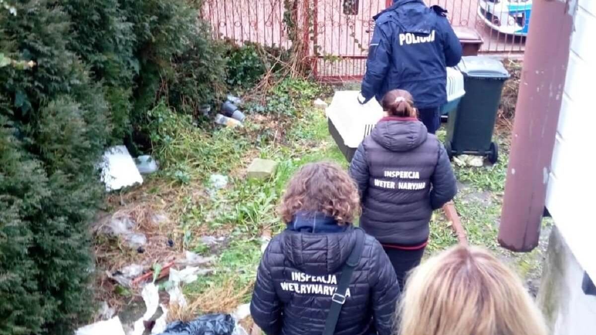 interwencja służb w pustostanie