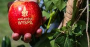 Majówka w Bramie Poznania pod znakiem obchodów tysiąclecia koronacji