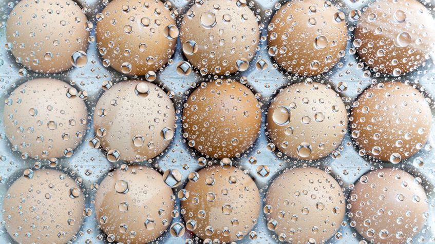 Mrożone jajko, pasteryzowane