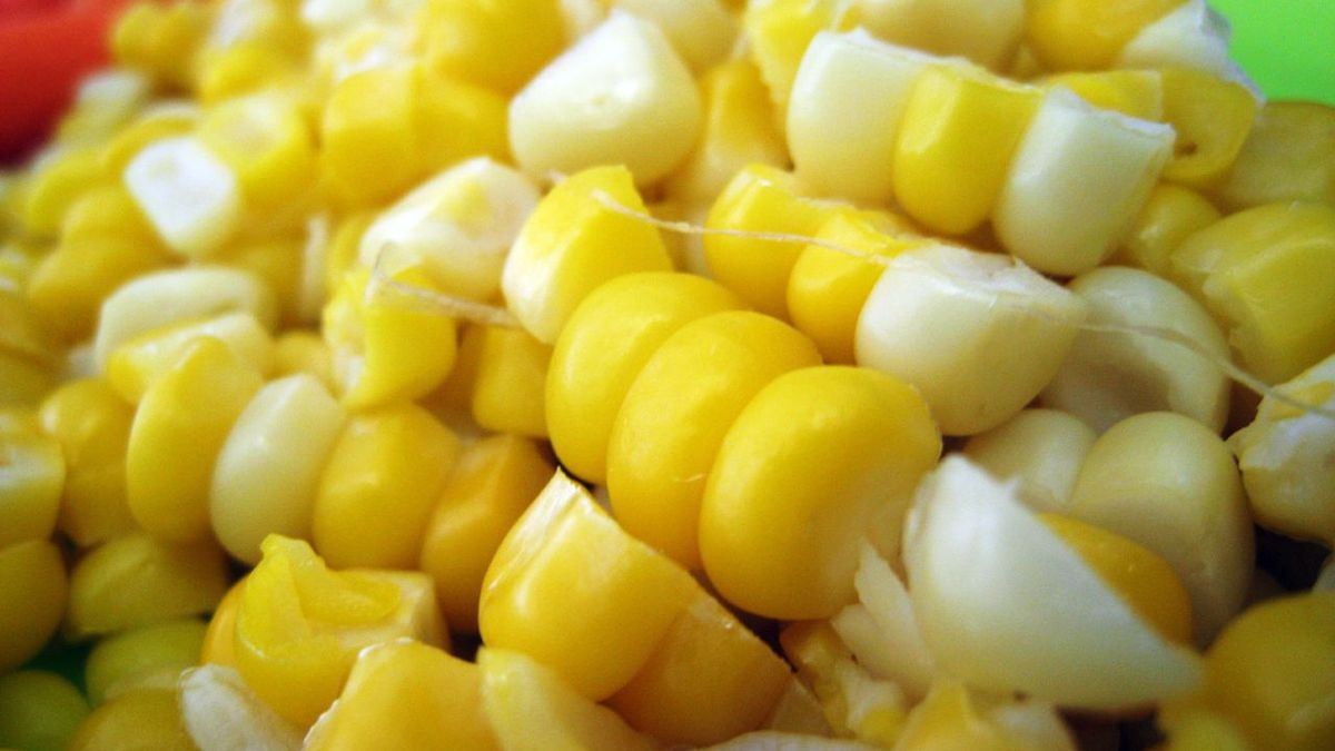 Słodka kukurydza w puszce, odsączona