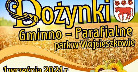 Dożynki w Wojcieszkowie 2024. Koncert Piękni i Młodzi Dawid Narożny. Zobacz godzinowy program