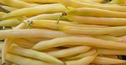 Mrożona fasolka szparagowa