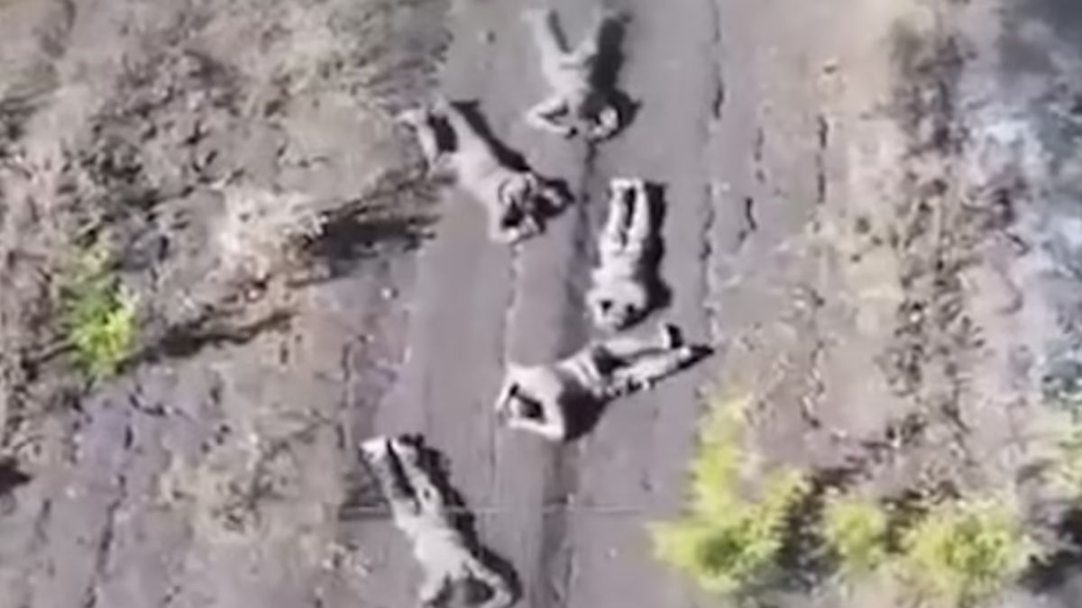 Tragedia rosyjskich żołnierzy.