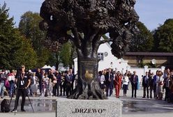 Pomnik drzewa w Wieleniu. Aktywista Jan Mencwel krytykuje pomysł urzędników