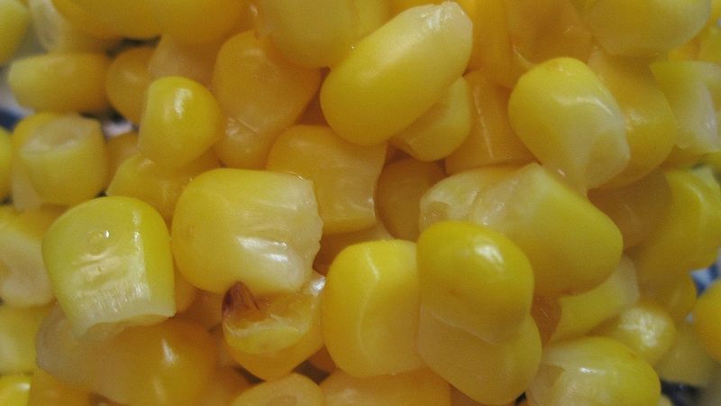 Słodka kremowa kukurydza w puszce