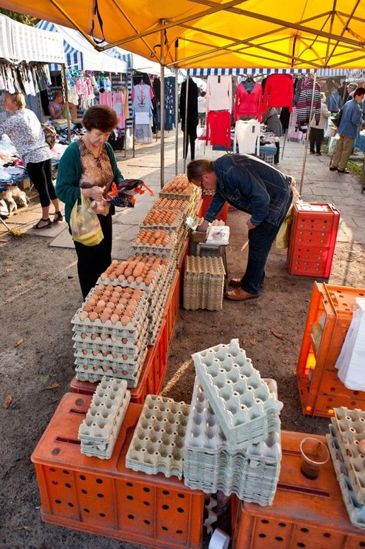 Ekspertka: Jaja znacznie droższe przed świętami niż przed rokiem