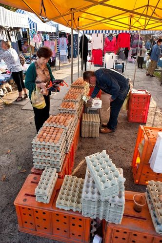 Sprzedaż detaliczna w Polsce znowu rośnie