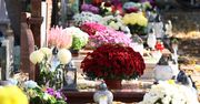 Nigdy nie wyrzucaj chryzantem z cmentarza. Oto powód