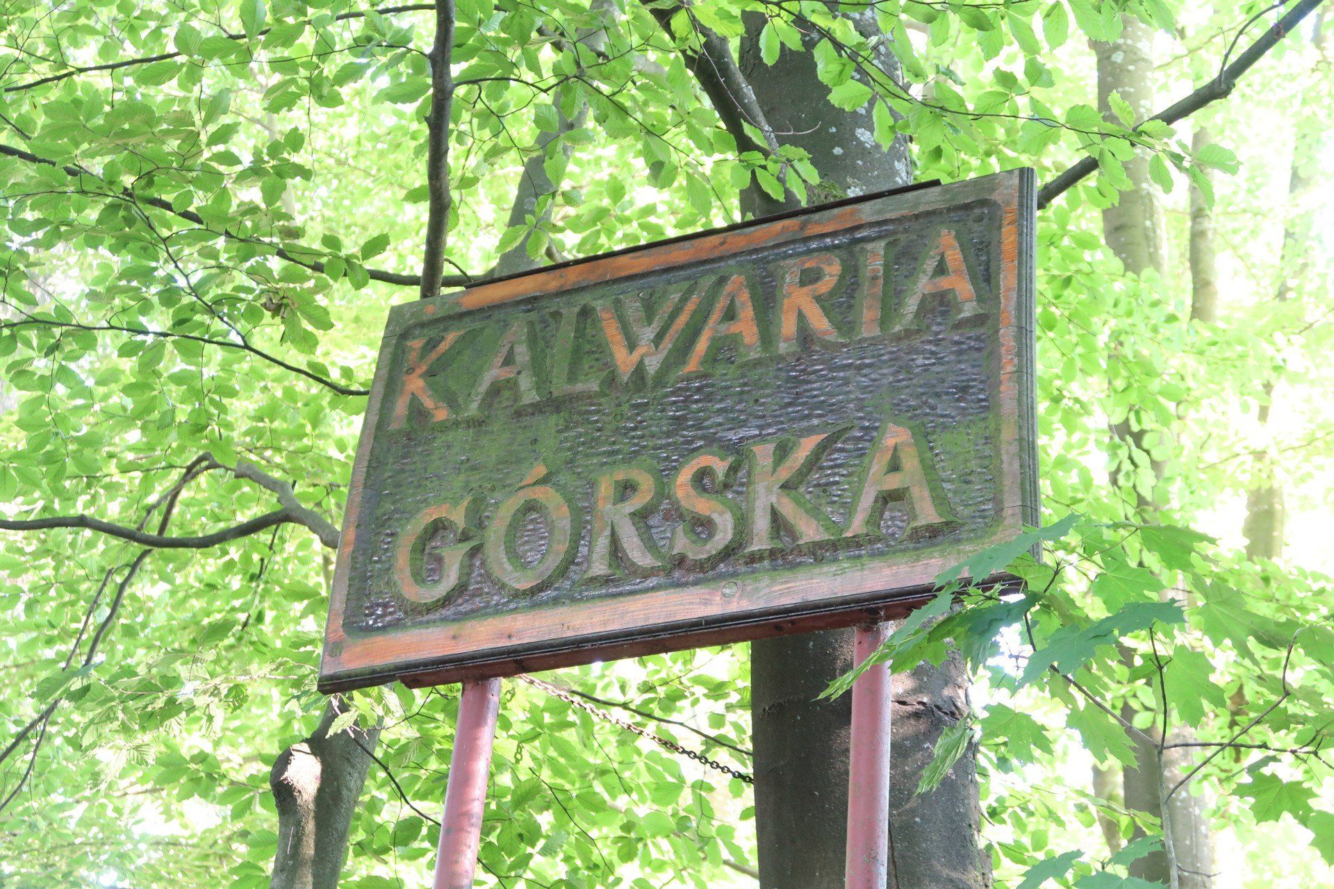 Z drodze ze Szczytnika.