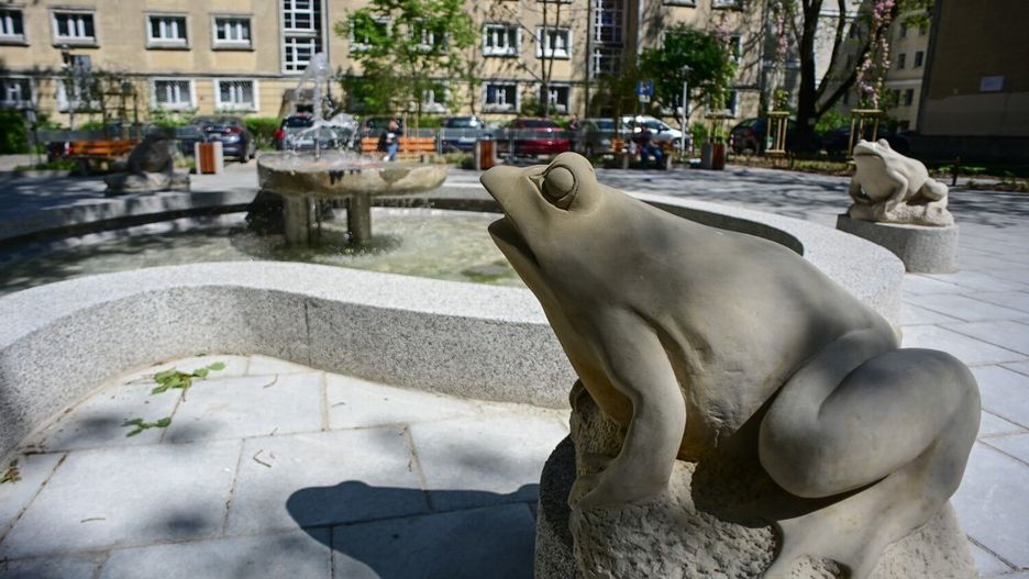 Fontanna z kamiennymi żabkami na Muranowie