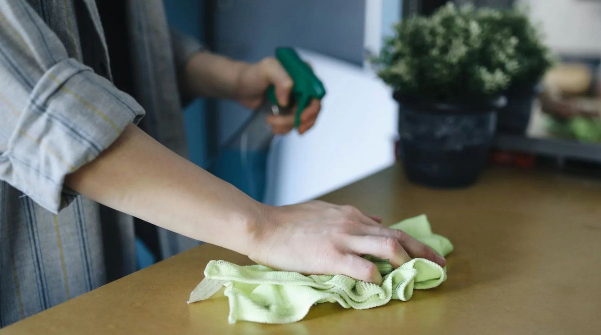 Jak zastąpić chemiczne środki naturalnymi rozwiązaniami?