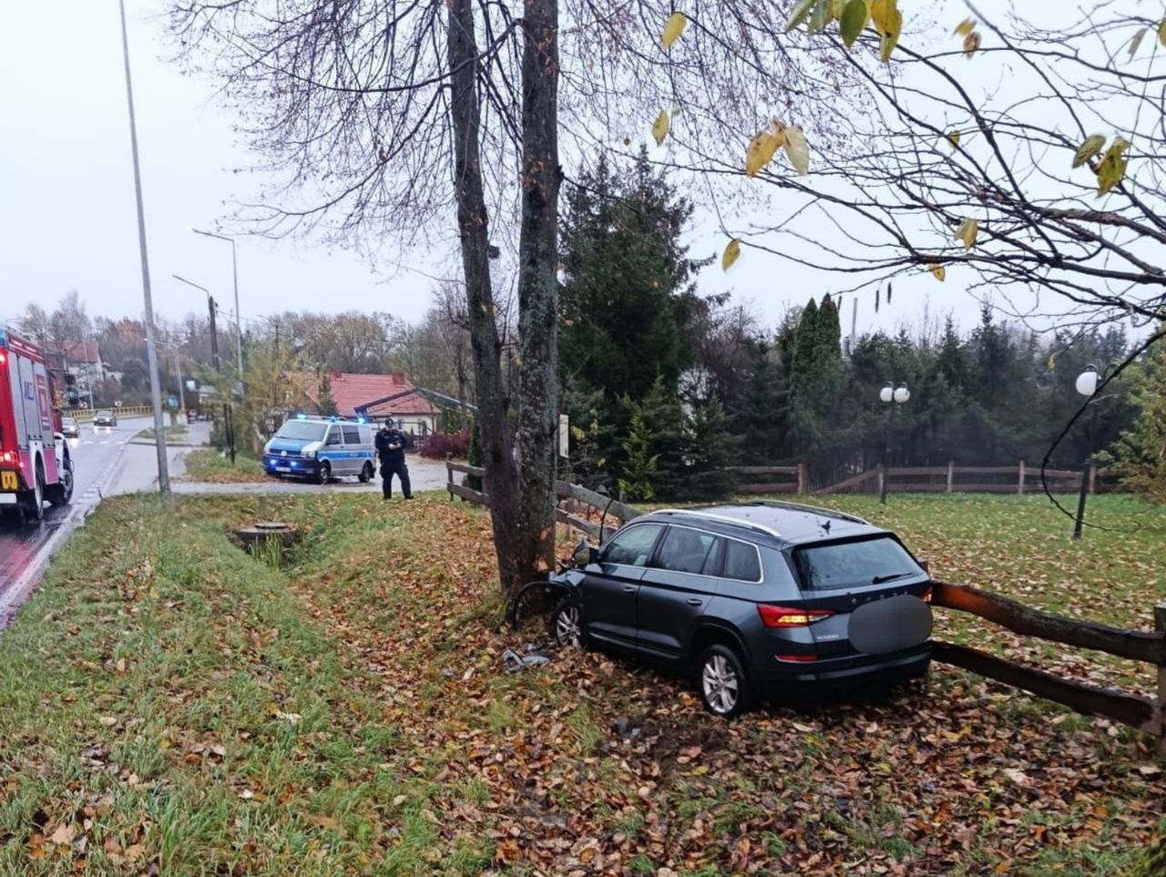 Muntowo: Chciał ominąć łabędzie. Skończył na drzewie