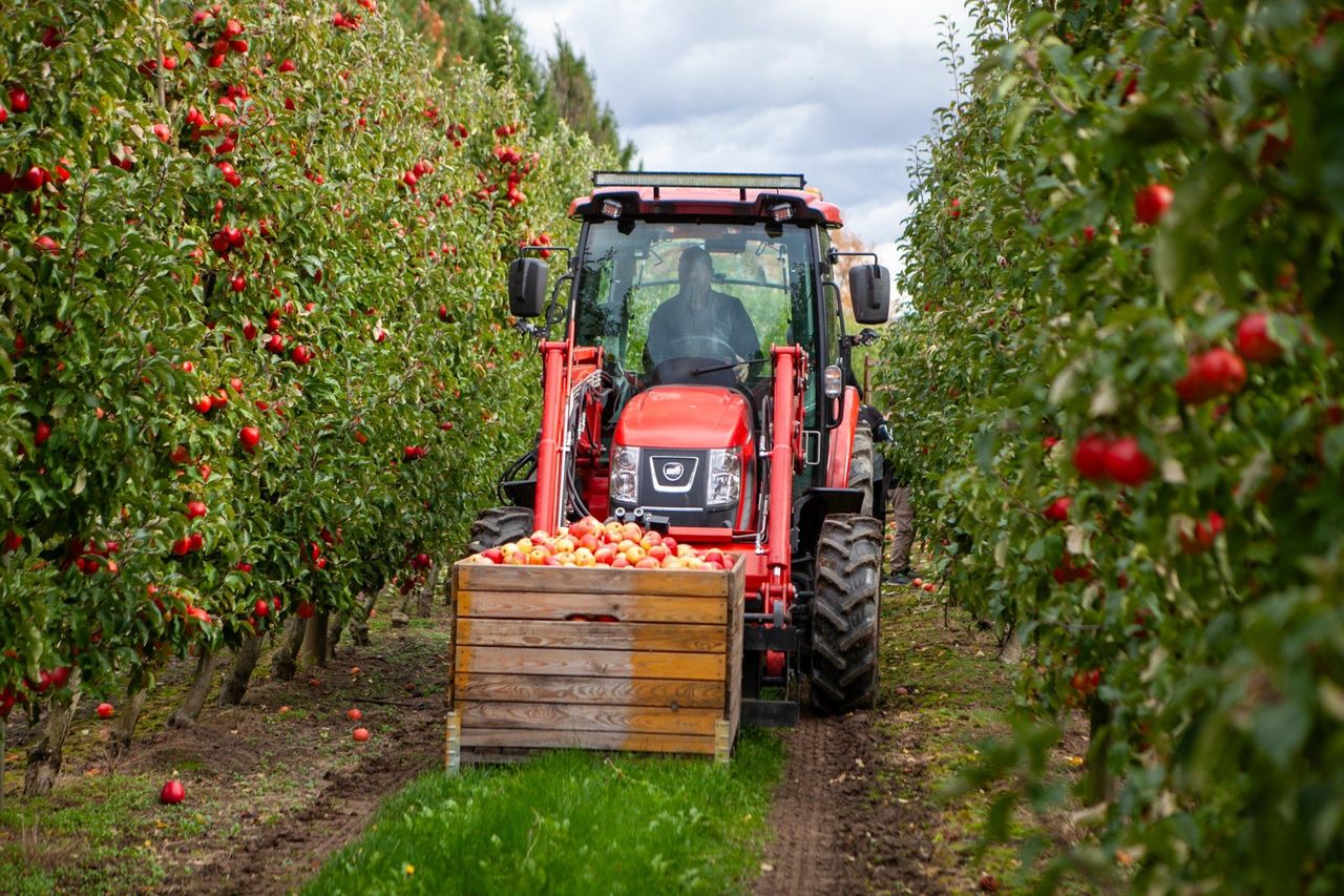 44 mln euro na wsparcie dla poszkodowanych rolników