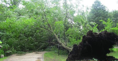 Park Miejski w Pile zamknięty do odwołania