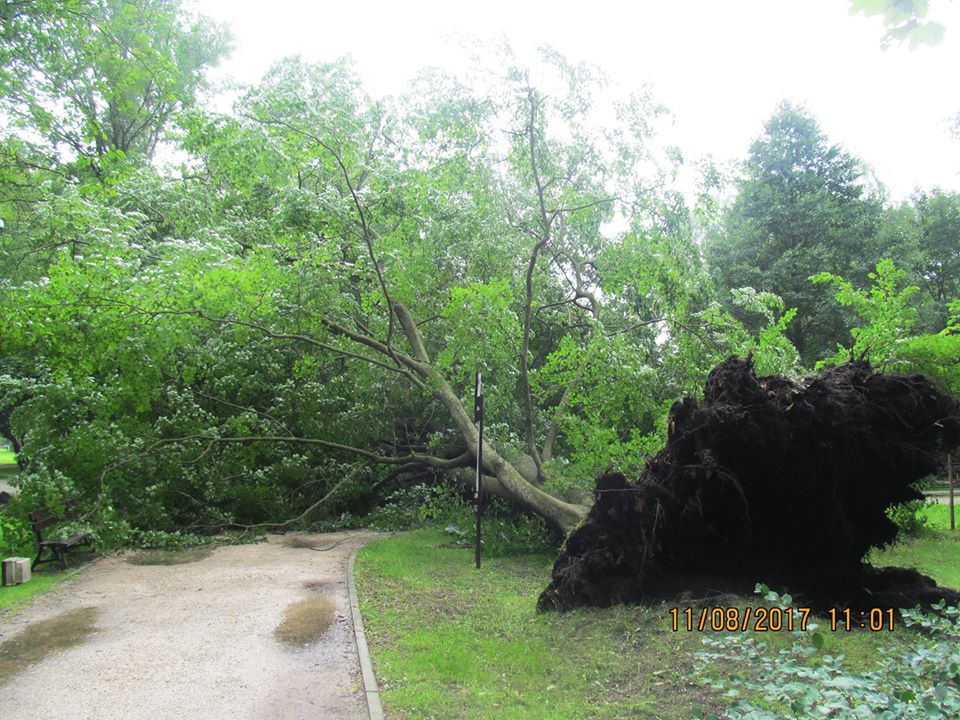 Park Miejski w Pile zamknięty do odwołania