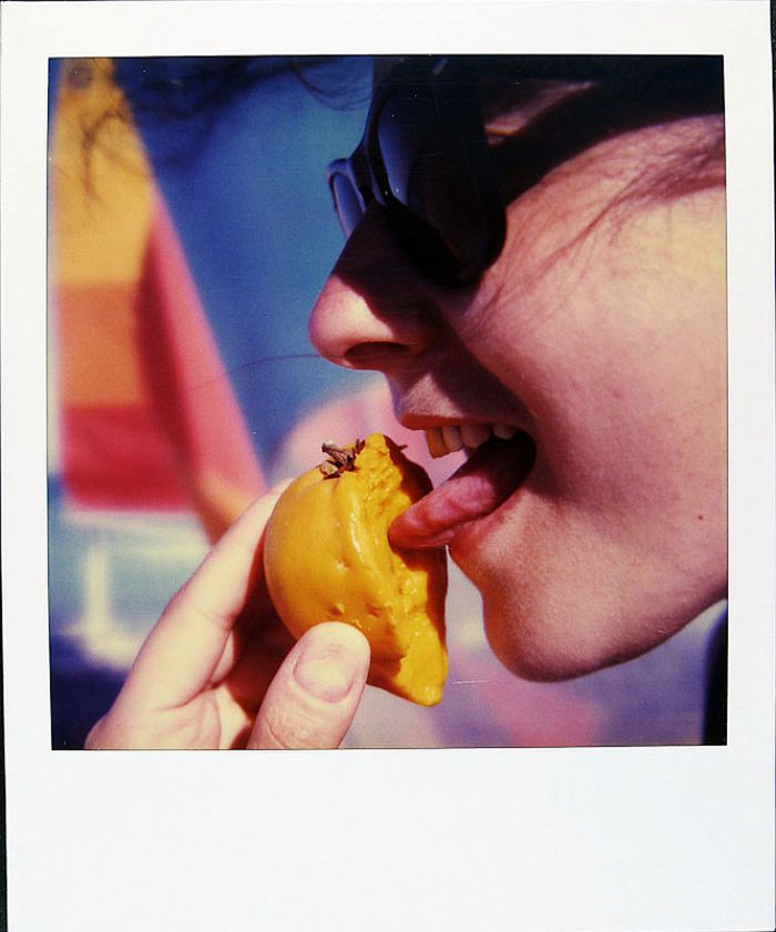 Jamie robił polaroidy codziennie przez 18 lat aż do ostatniego dnia swojego życia 33