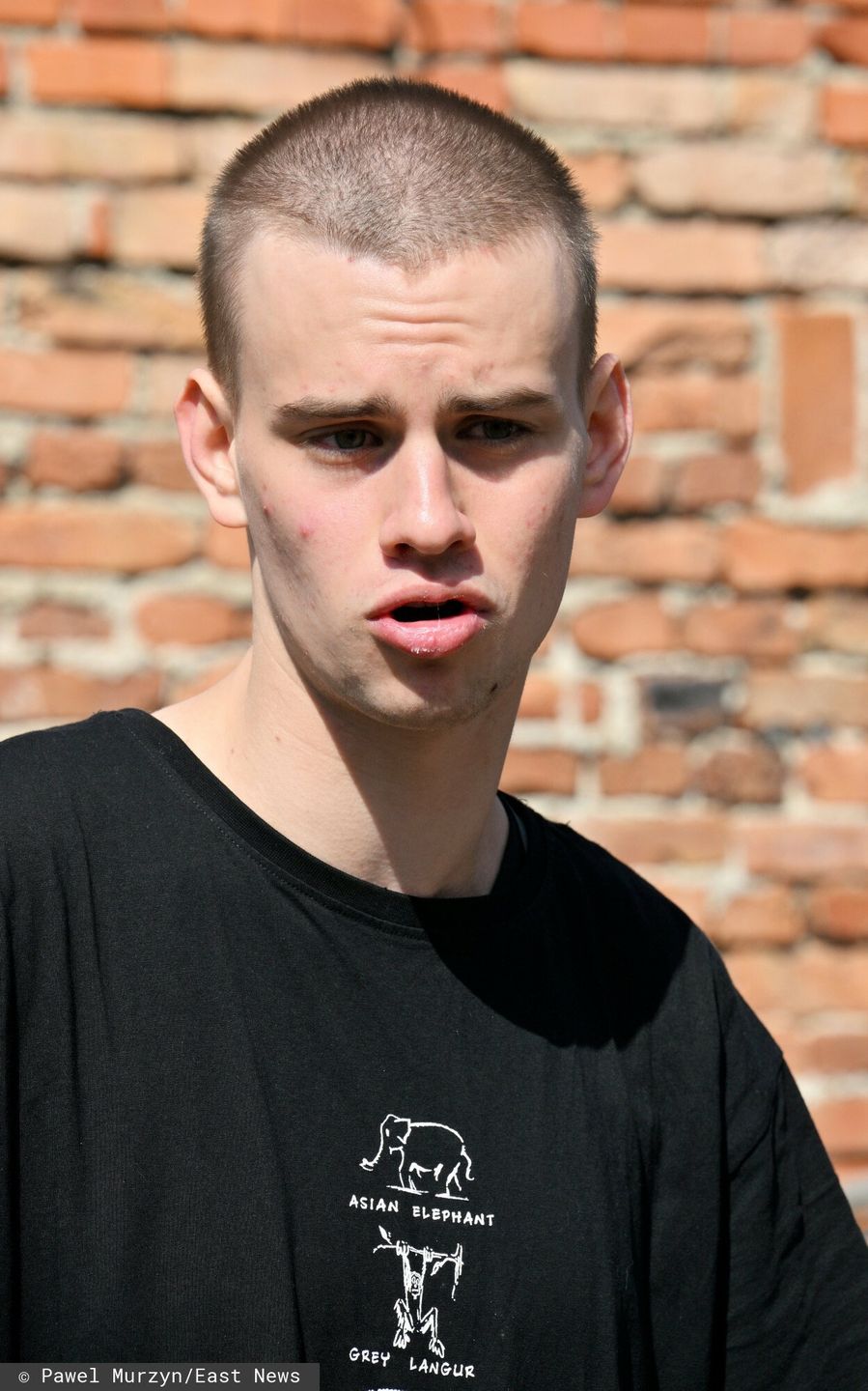 Łatwogang