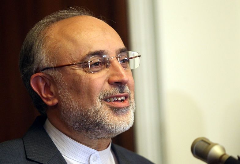Minister spraw zagranicznych Iranu Ali Akbar Salehi