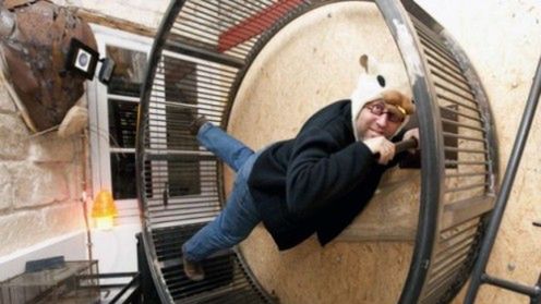 Być chomikiem choćby dzień… 1