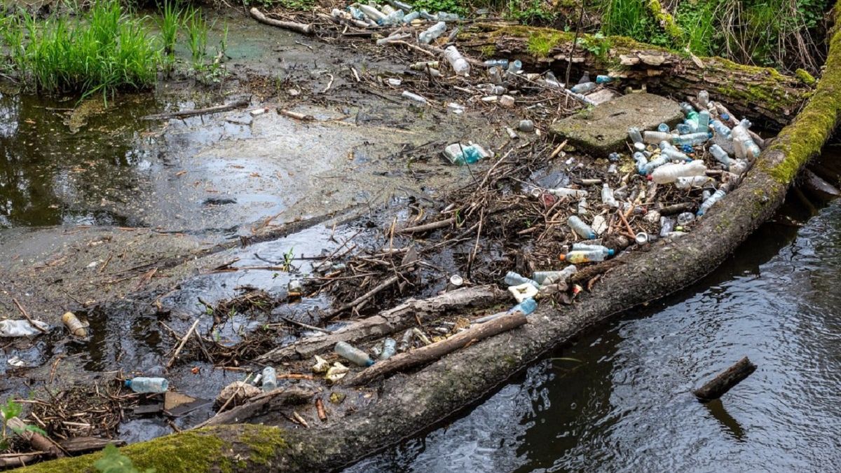 Szokujące zdjęcia. Opublikowali je leśniczy. 