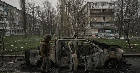 Psy z Sarajewa w Ukrainie. Mają specjalną misję