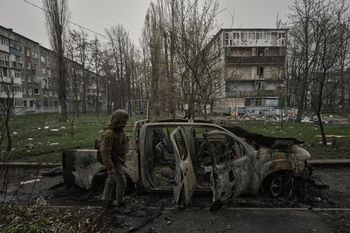 Psy z Sarajewa w Ukrainie. Mają specjalną misję