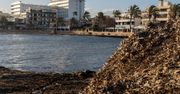 Narzekają na plaże pełne "śmierdzącego i zgniłego szlamu". W tle ochrona przyrody