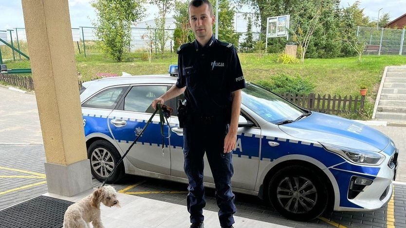 Turystka z Warszawy zostawiła psa w nagrzanym samochodzie. Uratowała go policja