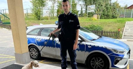 Zostawiła psa w nagrzanym samochodzie. Poszła na plażę