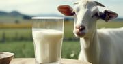 Mleko kozie - kaloryczność, wartości i składniki odżywcze, właściwości