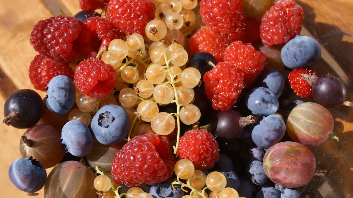 Niepozorne białe porzeczki to skarb wśród owoców sezonowych