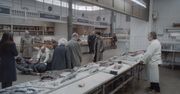 Srebrne Lwy z Wenecji na otwarcie LAF-u Startuje 21. Letnia Akademia Filmowa w Zwierzyńcu 7-16 sierpnia 2020 r.