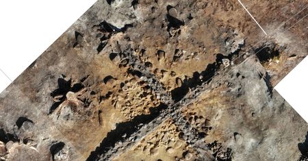 Kurhany sprzed 2000 lat na placu budowy polskiej elektrowni atomowej. Archeolodzy zrobili niezwykłe odkrycie