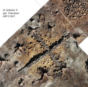 Kurhany sprzed 2000 lat na placu budowy polskiej elektrowni atomowej. Archeolodzy zrobili niezwykłe odkrycie