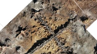 Kurhany sprzed 2000 lat na placu budowy polskiej elektrowni atomowej. Archeolodzy zrobili niezwykłe odkrycie