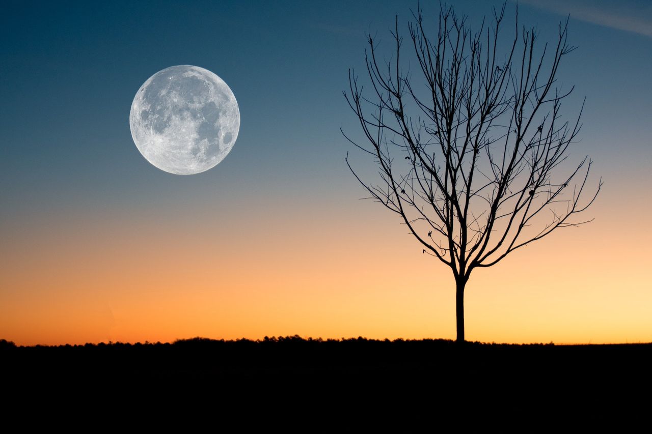 "Niebieski Księżyc" za nami. Zobaczcie najlepsze zdjęcia z całego świata